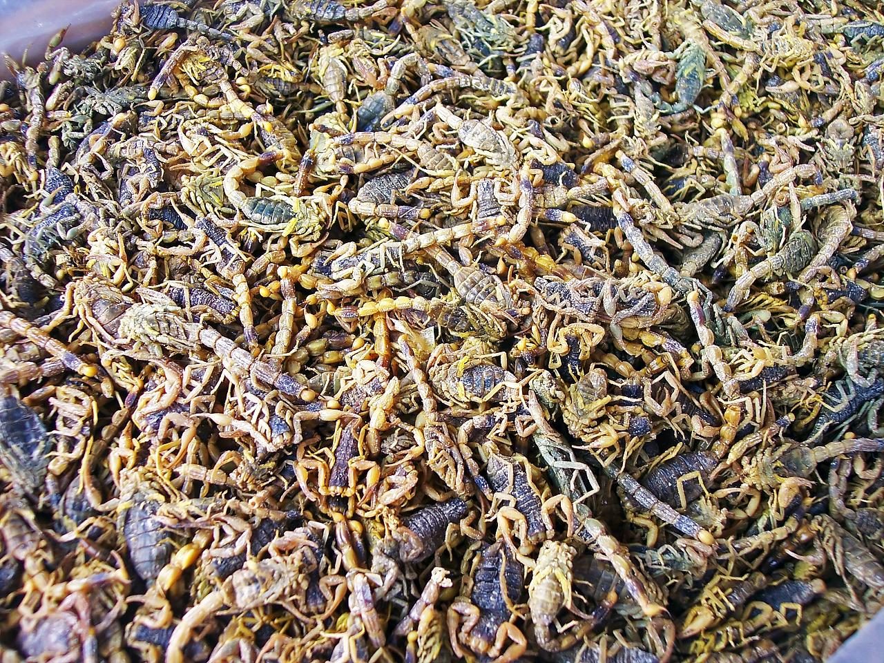 Chinese Traditional Medicine Market